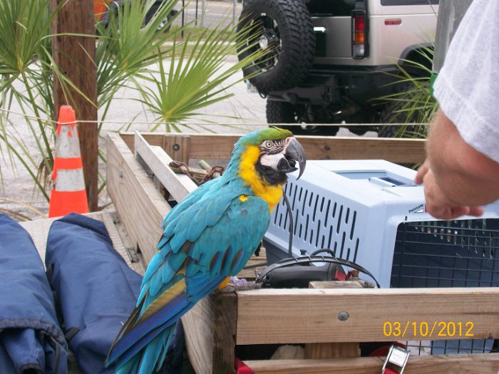 2012-Mar-10HGR4X4_4Wheelparts 010